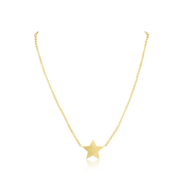 14k Gold Single Charm Necklace
