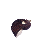 Load image into Gallery viewer, Carved Walnut Ammonite Shell
