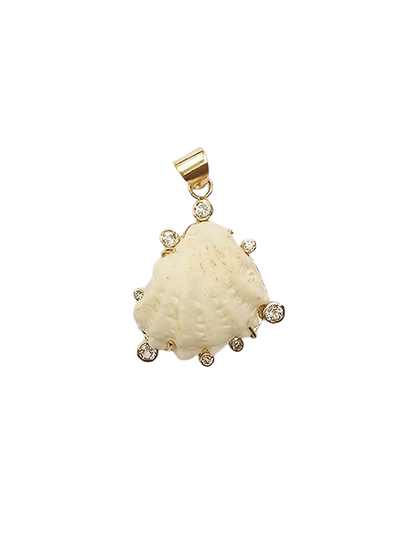 White Kitten’s Paw Halo