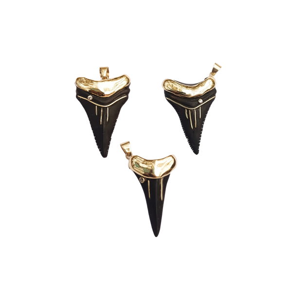 Ebony Shark's Tooth 4