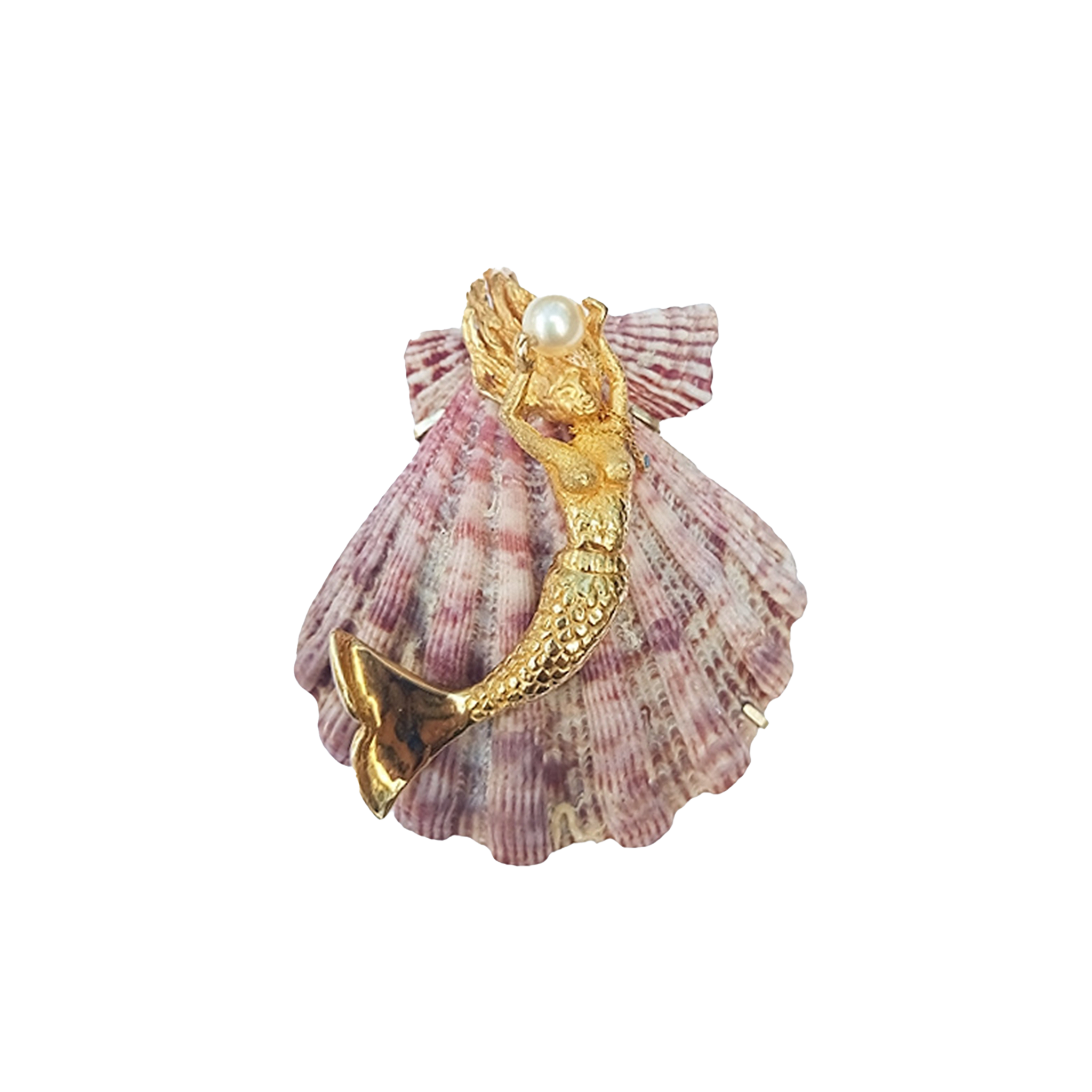 Mermaid Shell – CCWW Designs