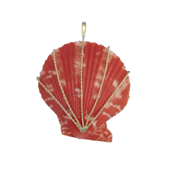 br124 - Scallop Shell - Orange