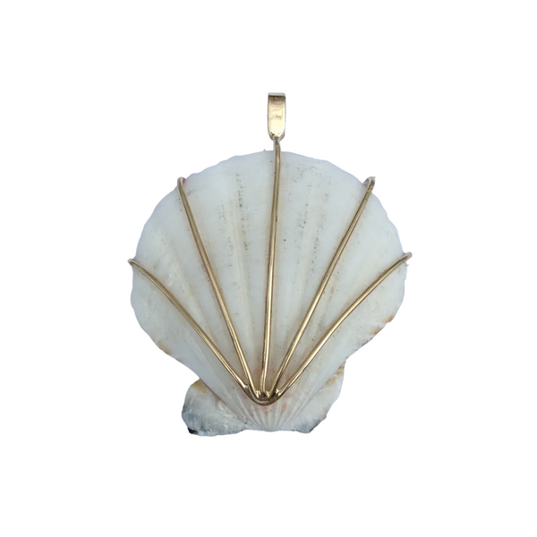 br119 - Scallop Shell - White