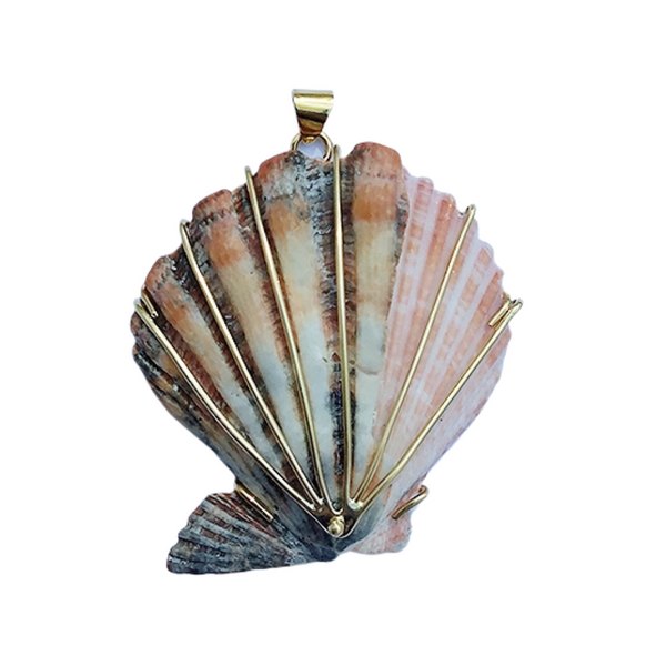 br206 - Double Shell