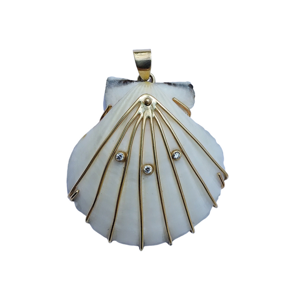 br203 - Scallop Shell - White