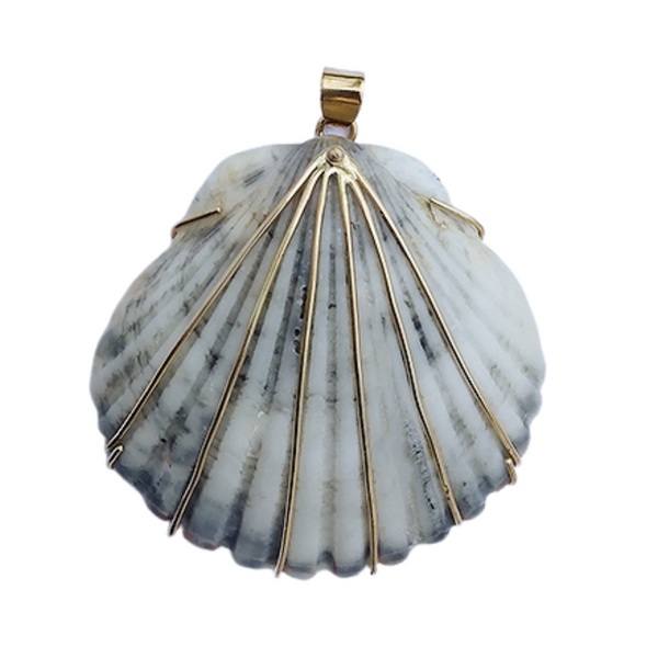 Grey Scallop Shell