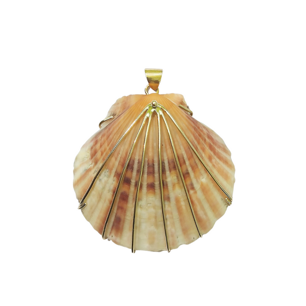 br220 - Scallop Shell