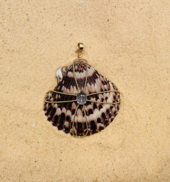 br057 - Scallop Shell