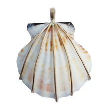 Load image into Gallery viewer, br103 - Scallop Shell
