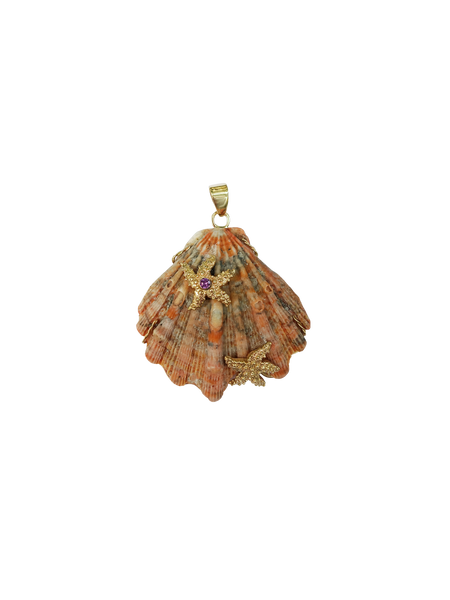 Large Lions Paw Starfish