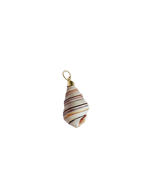 Br385- Rainbow Striped Shell