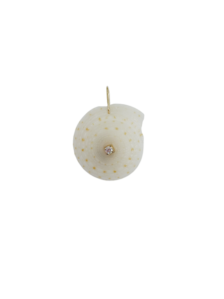 Br400- Spiral Diamond Shell