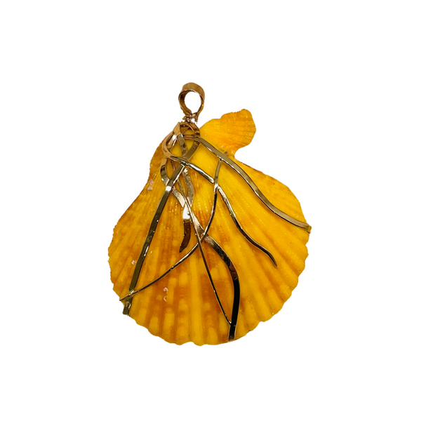 br058 - Scallop Shell