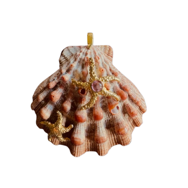 br117 - Lions Paw - Starfish